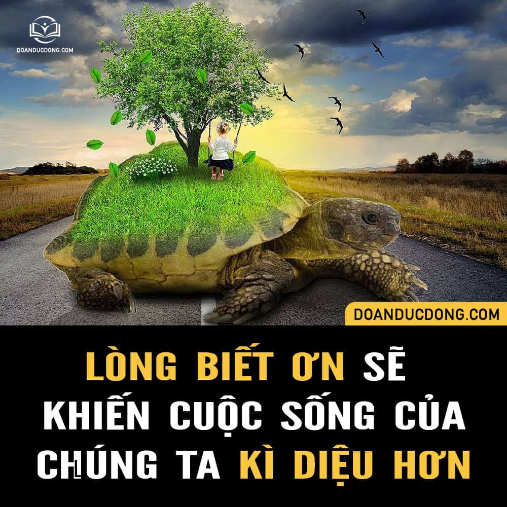 lòng biết ơn