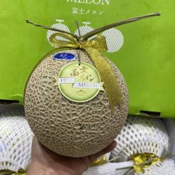 Dưa lưới Nhật Fuji Melon