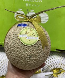 Dưa lưới Nhật Fuji Melon