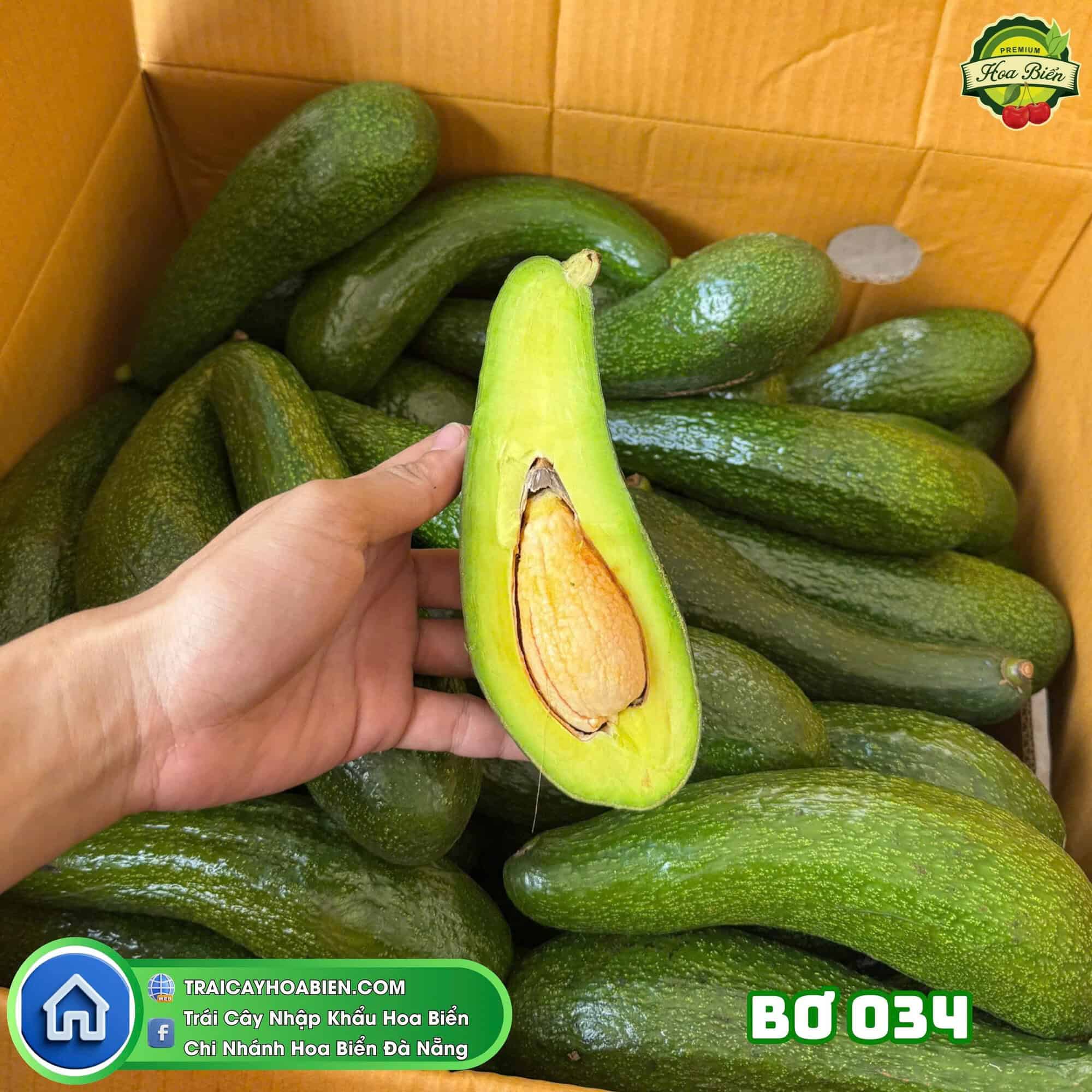 z6693422071311_ee1b27e7c45a29d2ff73f830e97c8c51 Bơ 034 Lâm Đồng – Dẻo Mịn Từng Muỗng, Béo Thơm Từng Miếng