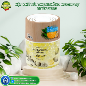 153 Hộp khử mùi thơm phòng hương tự nhiên