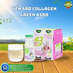 Yến Sào Collagen Green Bird