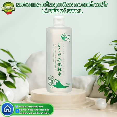 120 Nước hoa hồng dưỡng da chiết xuất lá diếp cá