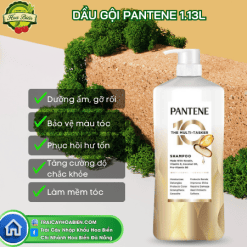Dầu gội Pantene