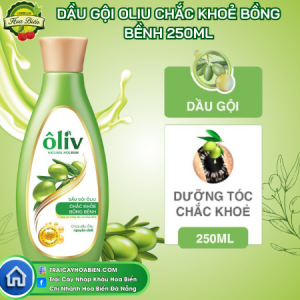 205 Dầu gội Ôliv Chắc Khỏe Bồng Bềnh