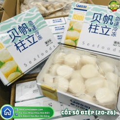Cồi Sò Điệp Đông Lạnh NISSI