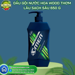 Dầu gội X-Men Wood
