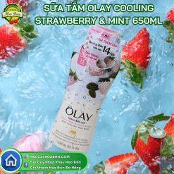 Sữa Tắm Olay Cooling Strawberry & Mint