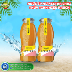Nước ép mơ Nectar chai thủy tinh hiệu Rauch