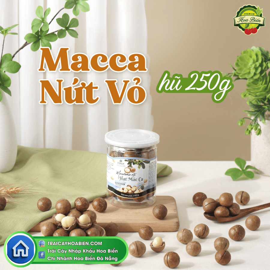 403 Hạt Macadamia sấy nứt vỏ