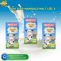 Sữa Tươi Marigold Malt Lốc 3