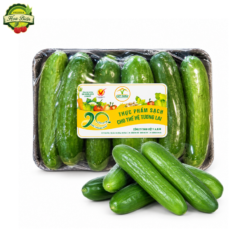 DƯA LEO BABY VIỆT FARM 500G