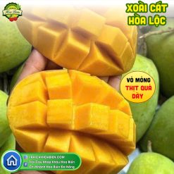 Xoài Cát Hòa Lộc