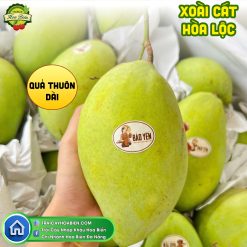 Xoài Cát Hòa Lộc