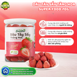 Dâu tây sấy thăng hoa Super food