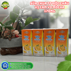 Sữa Chua Tiệt Trùng Mộc Châu