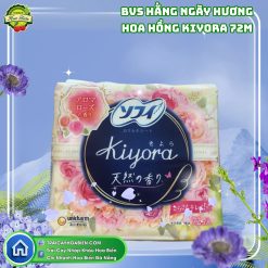 Băng Vệ Sinh Hằng Ngày Hương Hoa Hồng Kiyora