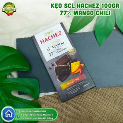 Socola Hachez