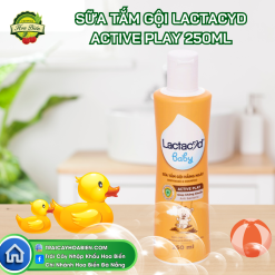 Sữa Tắm Gội Lactacyd Active Play