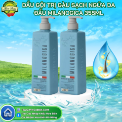 Dầu gội Milanogica Trị Gàu Và Sạch Ngứa da đầu