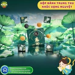 Hộp Bánh Trung Thu Khúc Vọng Nguyệt