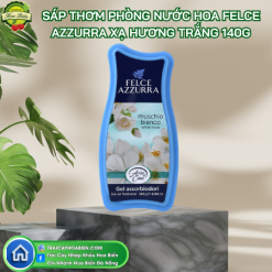 Sáp Thơm Phòng Nước Hoa Felce Azzurra