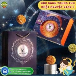 Hộp Bánh Trung Thu Nhật Nguyệt Giao 4