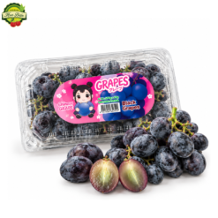 NHO ĐEN NĐT HỘP 500G