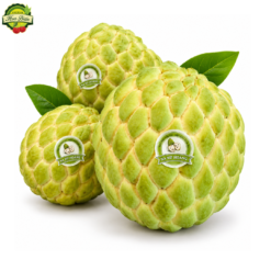 MÃNG CẦU