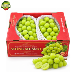 MẪU ĐƠN HÀN QUỐC CHÙM