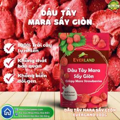 Dâu Tây Mara Sấy Giòn Everland