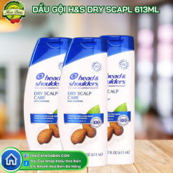DẦU GỘI HEAD & SHOULDERS DRY SCALP 613ML
