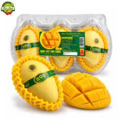 XOÀI CÁT CHU DA VÀNG MR.9 (HỘP 1KG)