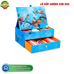 LỄ HỘP HOÀNG KIM 802