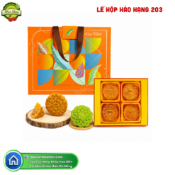 LỄ HỘP HẢO HẠNG 203