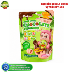 KẸO DẺO SOCOLA COKOC VỊ TRÁI CÂY 60G
