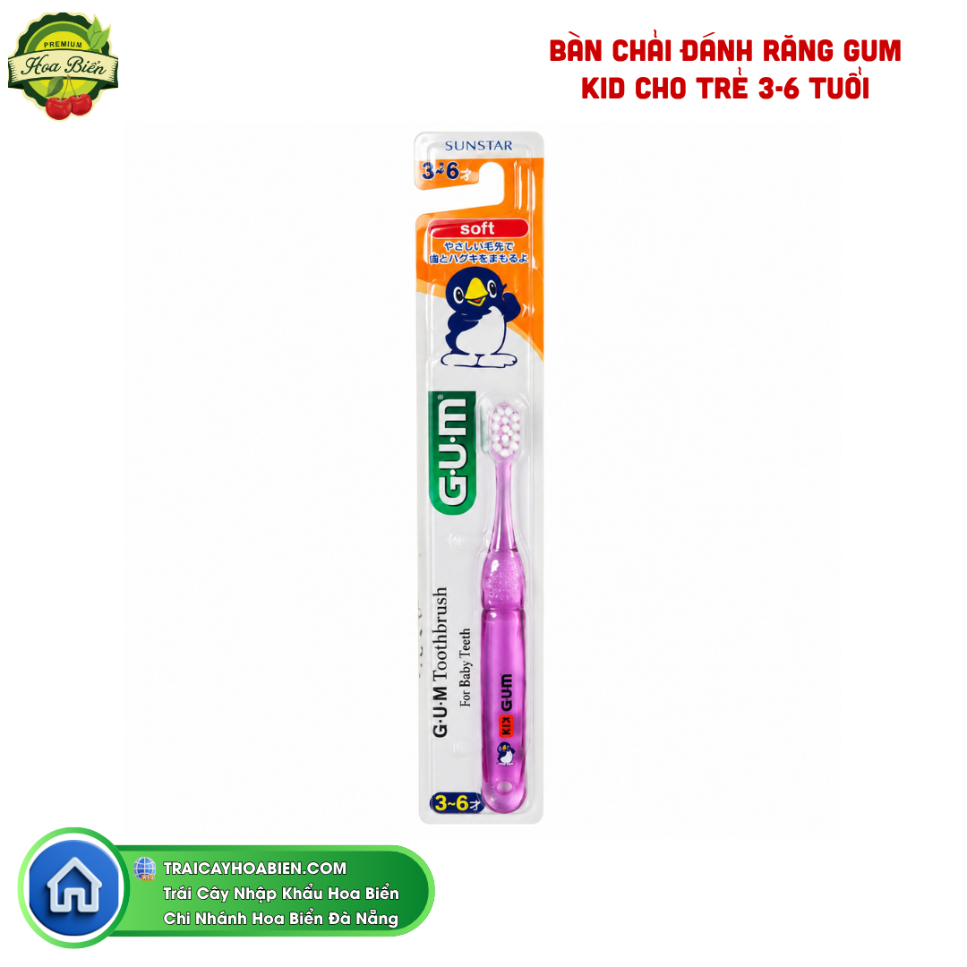 Trái cây Hoa Biển BÀN CHẢI ĐÁNH RĂNG GUM KID CHO TRẺ 3-6 TUỔI