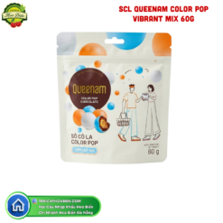 SCL QUEENAM COLOR POP VIBRANT MIX 60G