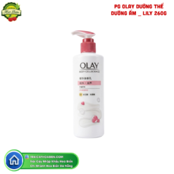 PG OLAY DƯỠNG THỂ DƯỠNG ẨM _ LILY 260G