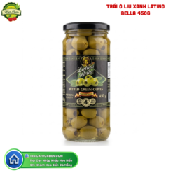 TRÁI Ô LIU XANH LATINO BELLA 450G