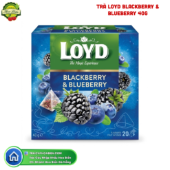 TRÀ LOYD BLACKBERRY & BLUEBERRY 40G