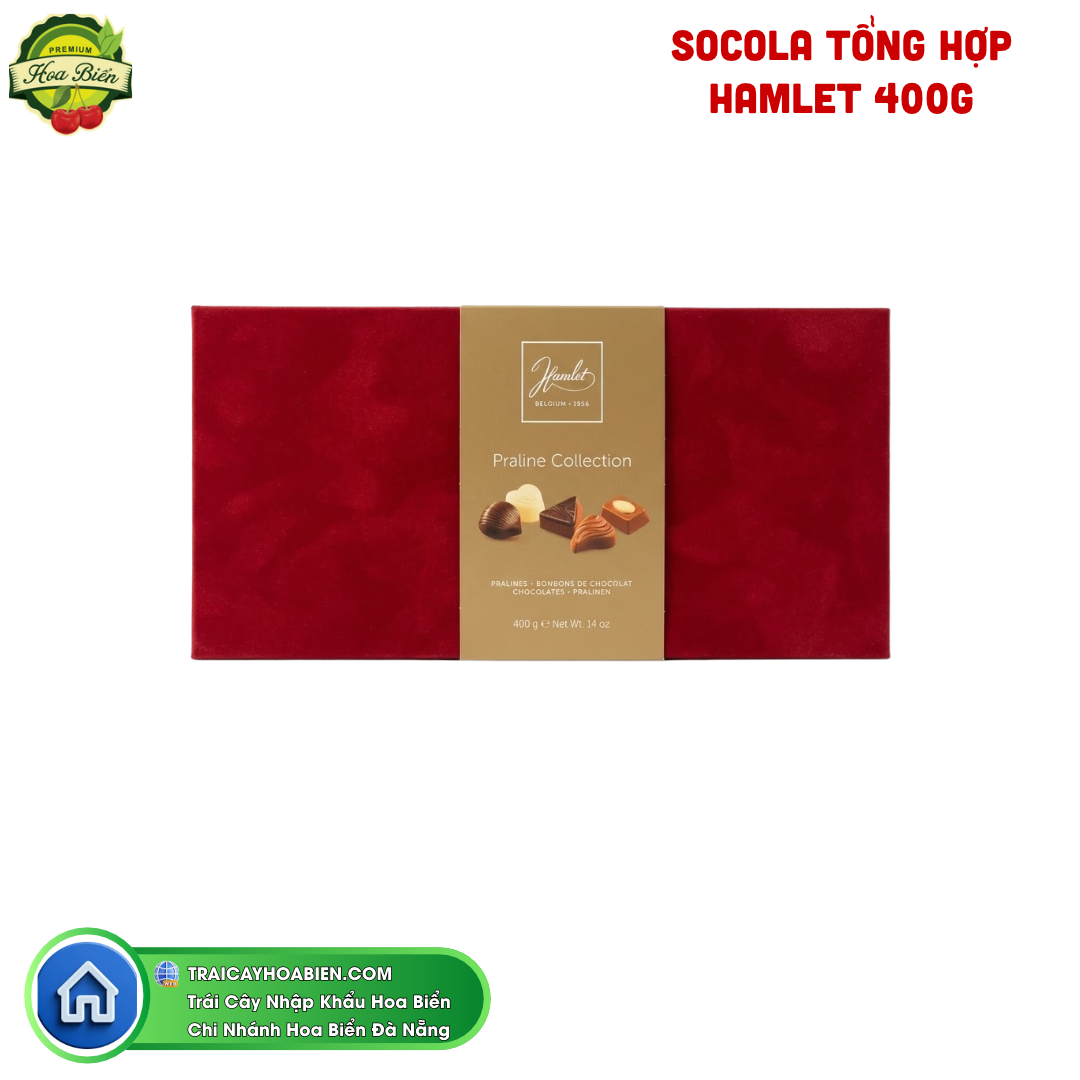 Trái cây Hoa Biển SOCOLA TỔNG HỢP HAMLET 400G