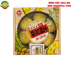 BÁNH DỨA YEOU BIN MINI PINEAPPLE 490G