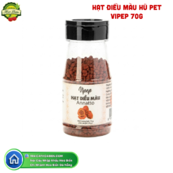 HẠT ĐIỀU MÀU HŨ PET VIPEP 70G