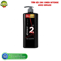 TẮM GỘI 2IN1 XMEN INTENSE 650G KM160G