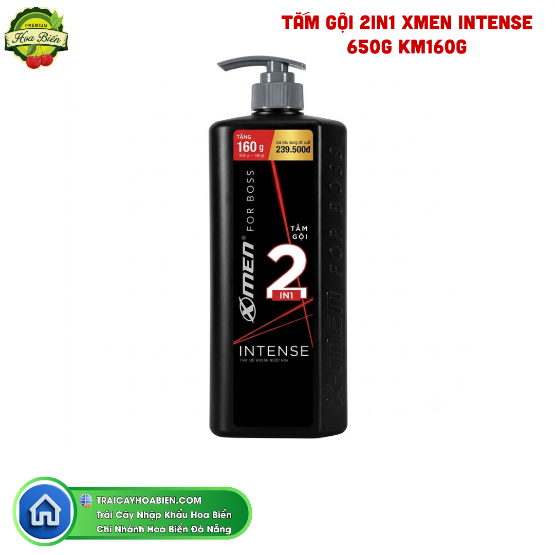 Trái cây Hoa Biển TẮM GỘI 2IN1 XMEN INTENSE 650G KM160G